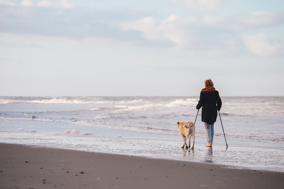 services-03 woman-in-black-jacket-walking-with-dog-on-beach-during-daytime-pbpmtzxs-48